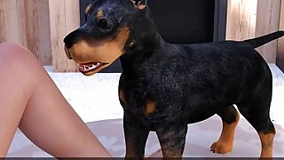 xnxx 6